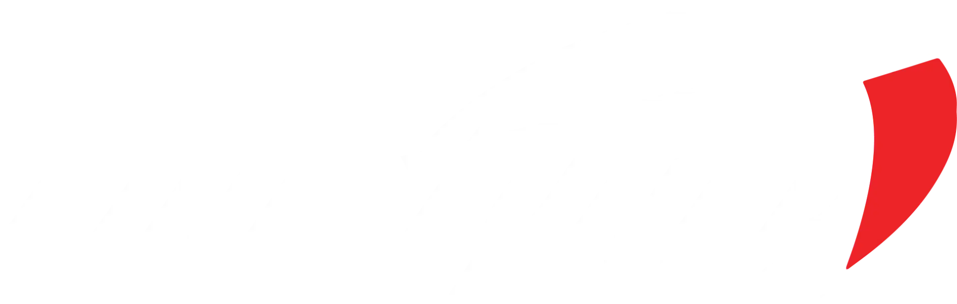 FINETUNEDAUTO logo WHITE